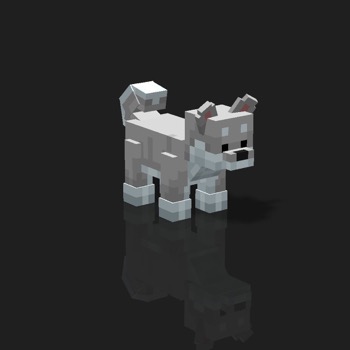 cube_pets: 1006