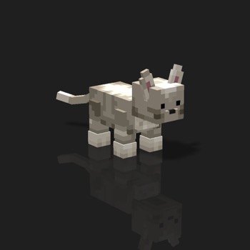 cube_pets: 1034