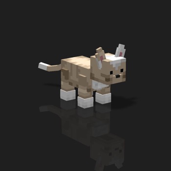 cube_pets: 1100