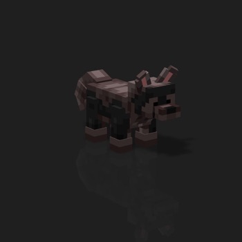 cube_pets: 1373