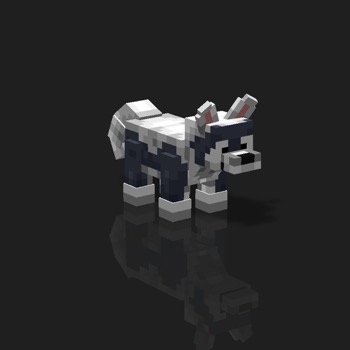 cube_pets: 1555