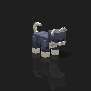 cube_pets: 1574