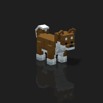 cube_pets: 1892