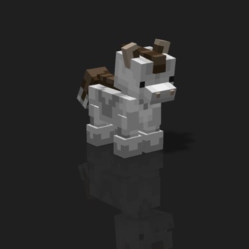 cube_pets: 1916