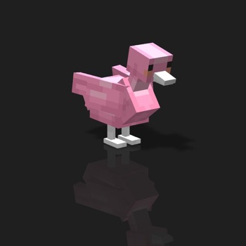 cube_pets: 1995