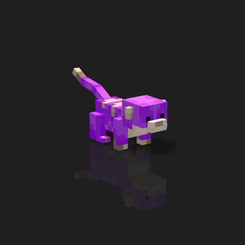 cube_pets: 2008