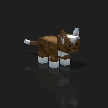 cube_pets: 2121