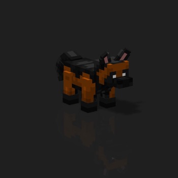 cube_pets: 2156