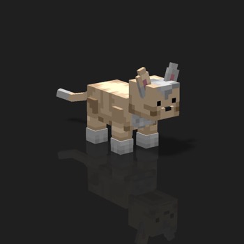 cube_pets: 2546