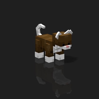 cube_pets: 2884