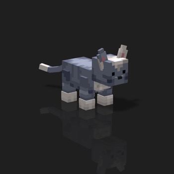 cube_pets: 2936