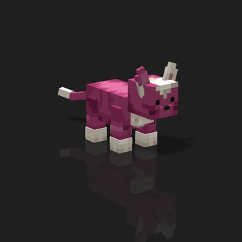 cube_pets: 507