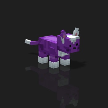 cube_pets: 557