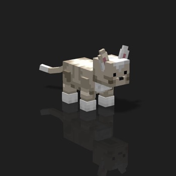 cube_pets: 669