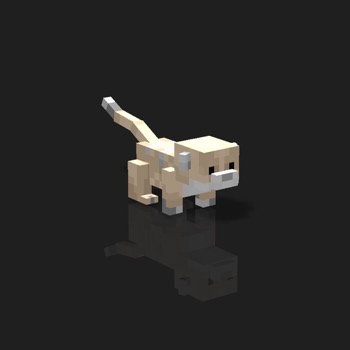 cube_pets: 881