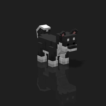 cube_pets: 910